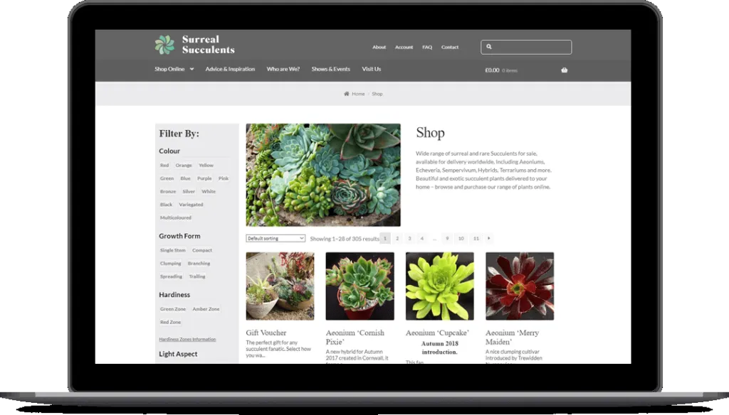 The Surreal Succulents website on desktop and mobile